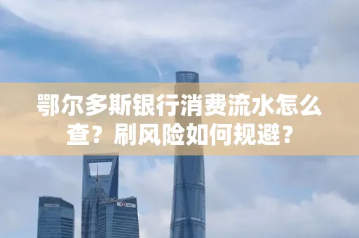 鄂尔多斯银行消费流水怎么查?刷风险如何规避?