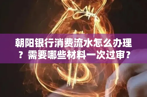 朝阳银行消费流水怎么办理?需要哪些材料一次过审?